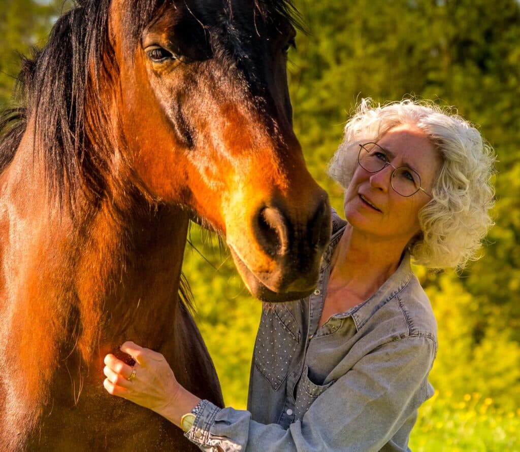 EKILIA COACHING, Formation et coaching accompagnés par le cheval à Lissieu.